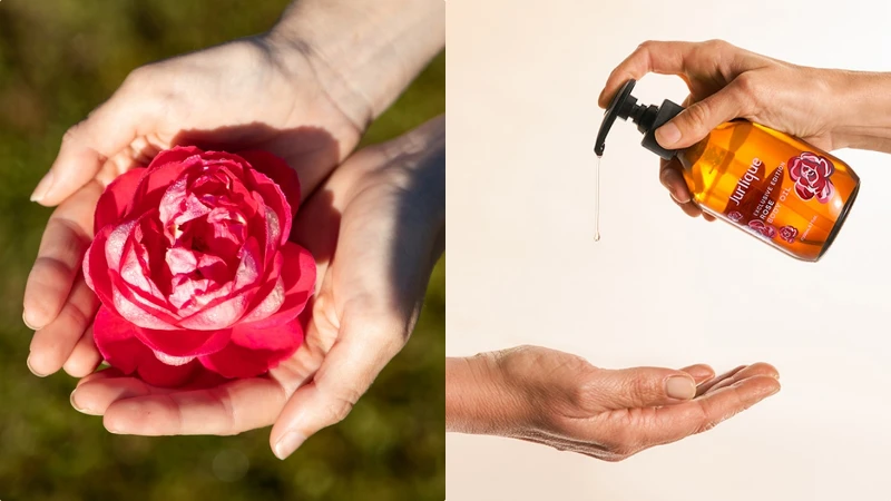 Jurlique茱莉蔻2024玫瑰按摩油以馥郁高盧薔薇滋養並喚醒肌膚能量。