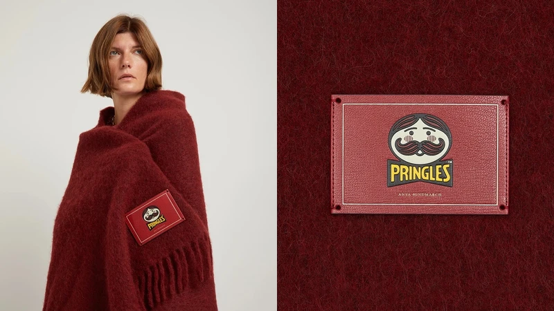 Anya Brands Pringles毛毯。 Anya Brands Pringles毛毯。