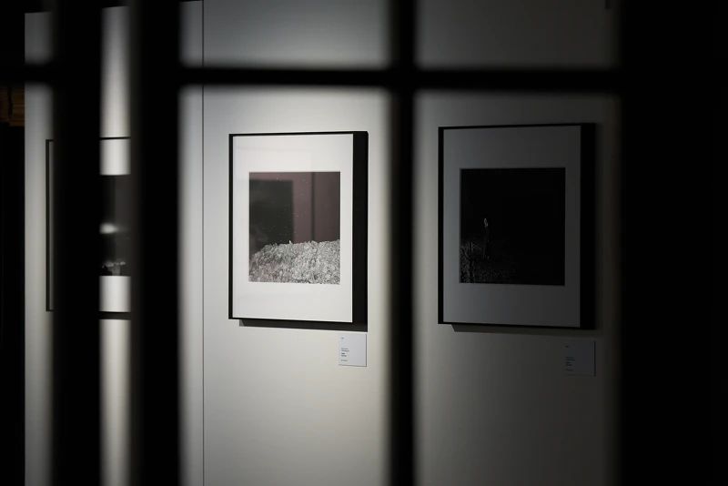 羅柏麟 Bo-Lin Lo《Ideal Type》攝影特展