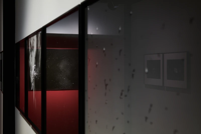 羅柏麟 Bo-Lin Lo《Ideal Type》攝影特展