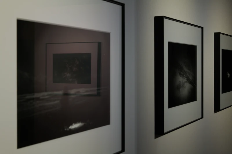 羅柏麟 Bo-Lin Lo《Ideal Type》攝影特展