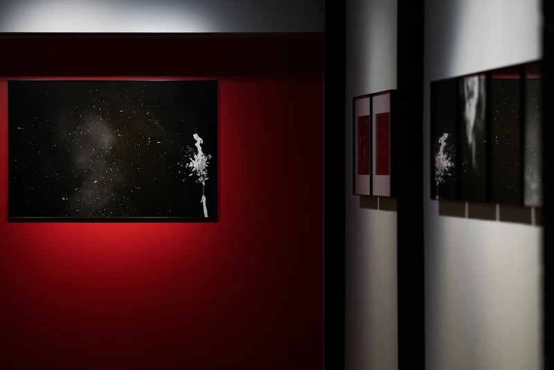 羅柏麟 Bo-Lin Lo《Ideal Type》攝影特展