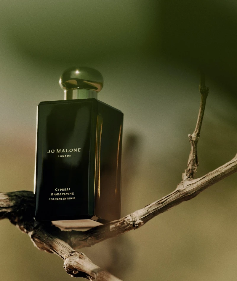 絲柏與葡萄藤芳醇香水 100ml NT$7,800 絲柏與葡萄藤芳醇香水 100ml NT$7,800