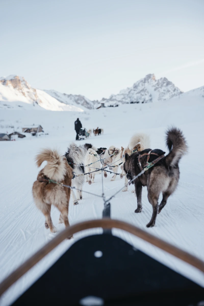 飯店提供多項戶外活動。 飯店提供多項戶外活動。