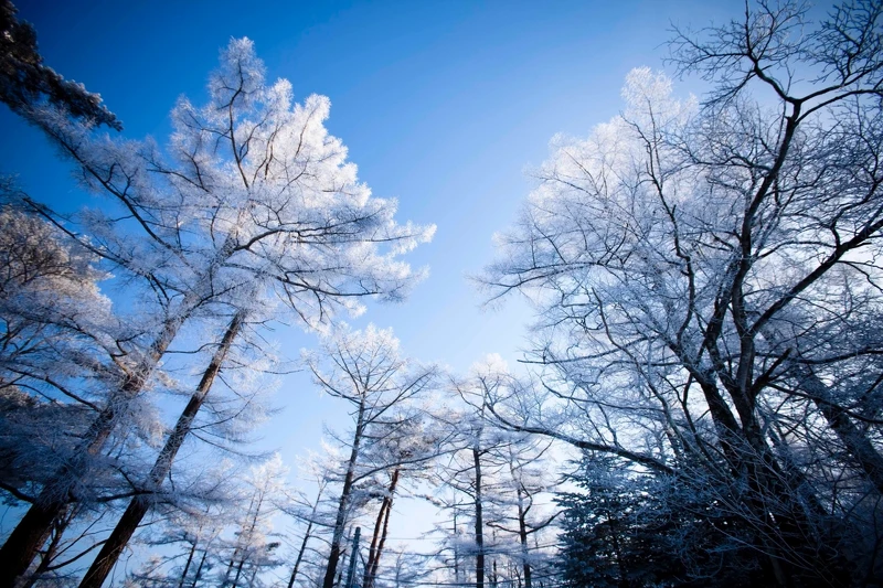 「輕井澤」是日本人眼中的度假勝地。