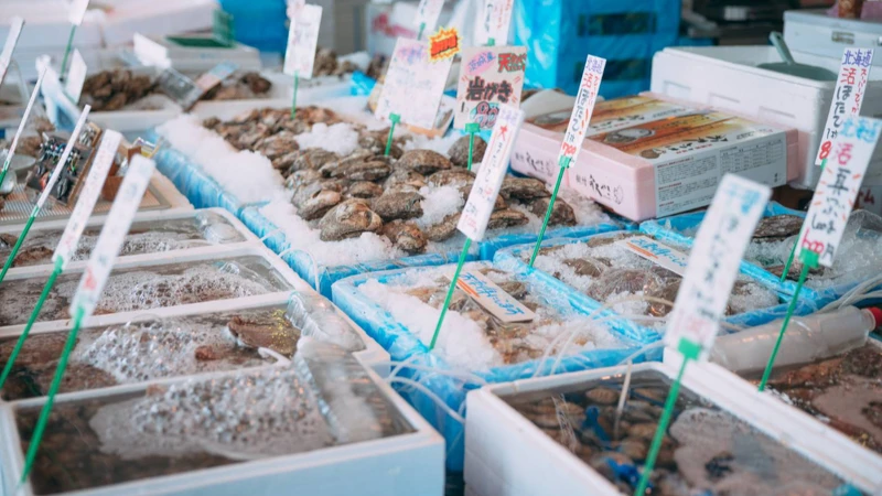 日本當地魚市場日常。
