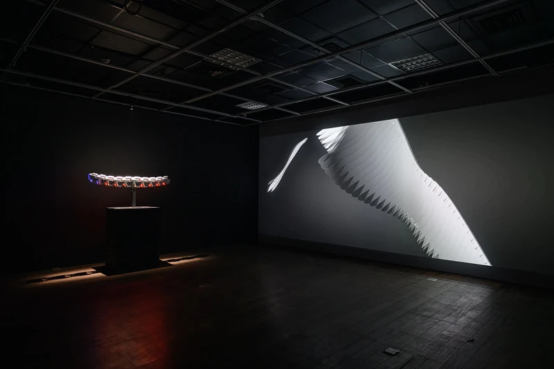 《生態池（Feat. 動力博士）》 Ecological Pool (Feat. Dr. Kinetic )。攝影／王世邦 ANPIS FOTO