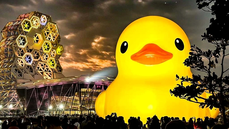 攝影:周家鴻 攝影:周家鴻