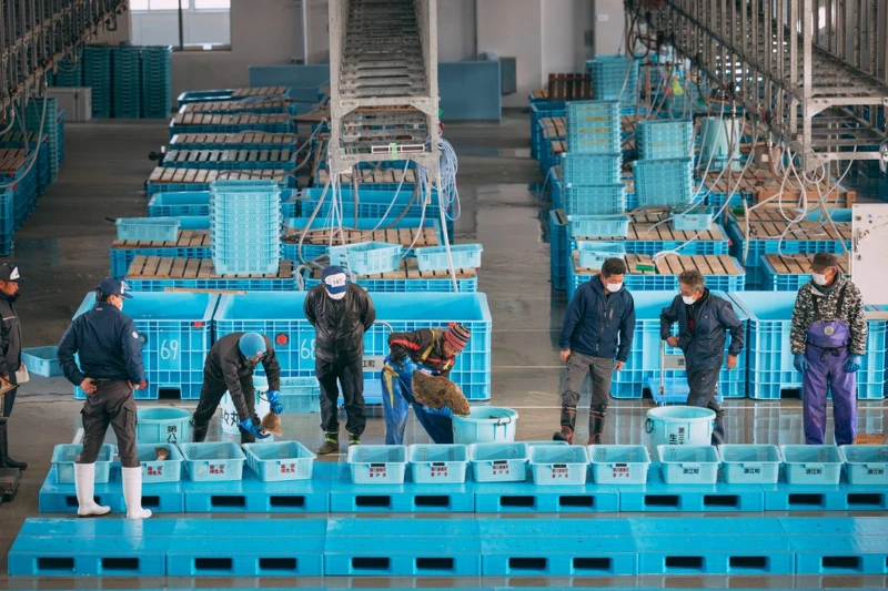 台灣是日本出口國裡第四大的貿易夥伴。 台灣是日本出口國裡第四大的貿易夥伴。