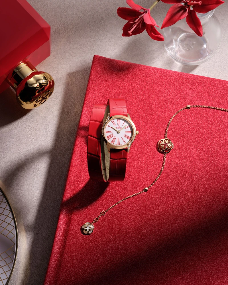 紅色腕錶 Omega 歐米茄