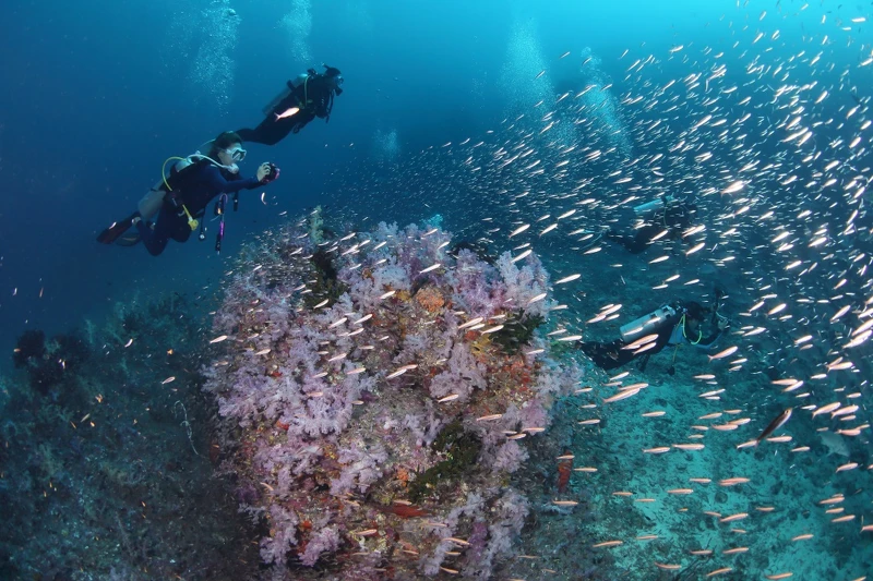 蘇林島(泰國光觀局提供) 蘇林島(泰國光觀局提供)