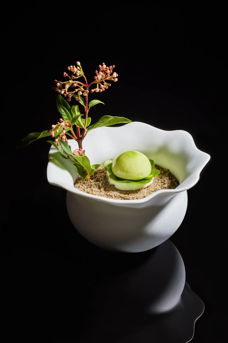 精彩擺盤是視覺的享受，入口後又是一場精彩的味覺之旅。