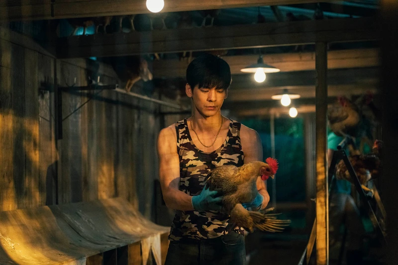 因《莎莉》拍攝時間有限，林柏宏第一天就被迫要徒手抓雞