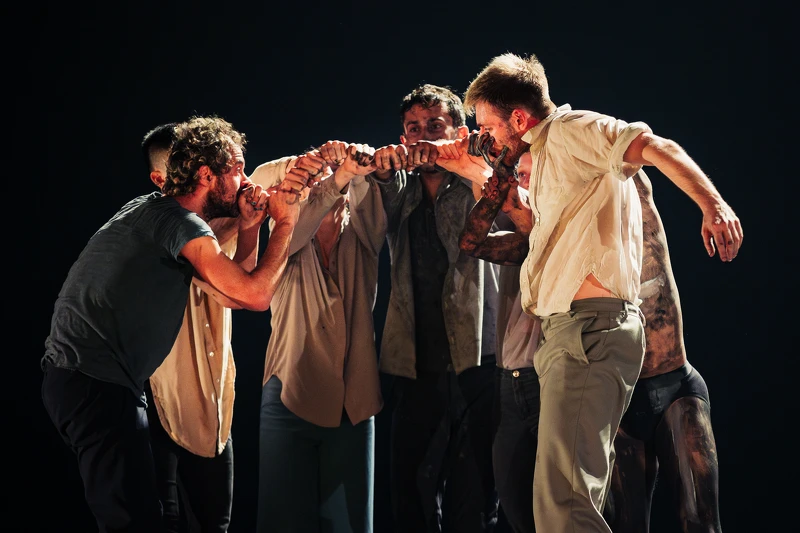 作品整理、拼湊七種不同的生命碎片,結合高難度的肢體動作與多國語言臺詞的演出形式 作品整理、拼湊七種不同的生命碎片,結合高難度的肢體動作與多國語言臺詞的演出形式