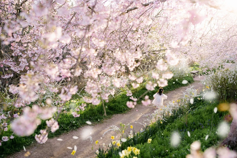 世羅高原農場 世羅高原農場