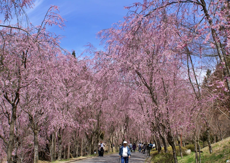 世羅甲山交流之里 世羅甲山交流之里