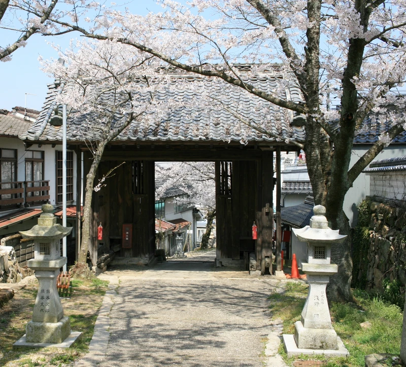 千年古寺與櫻花的組合,多了份日式雅致風情。圖為今高野山。 千年古寺與櫻花的組合,多了份日式雅致風情。圖為今高野山。