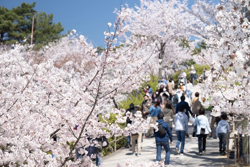 千光寺公園 千光寺公園