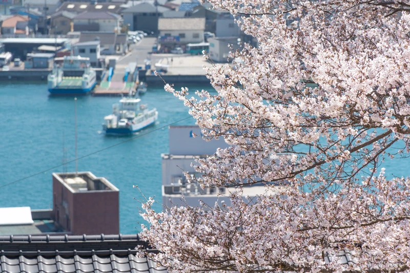 千光寺公園 千光寺公園