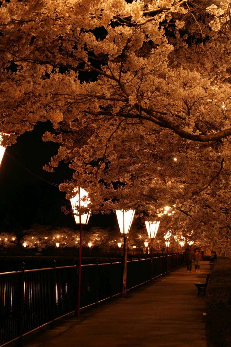 上野公園 上野公園