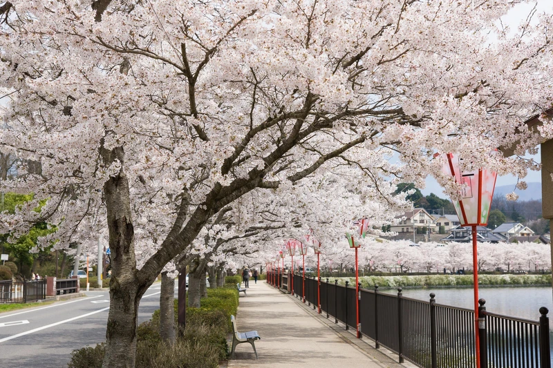 上野公園 上野公園