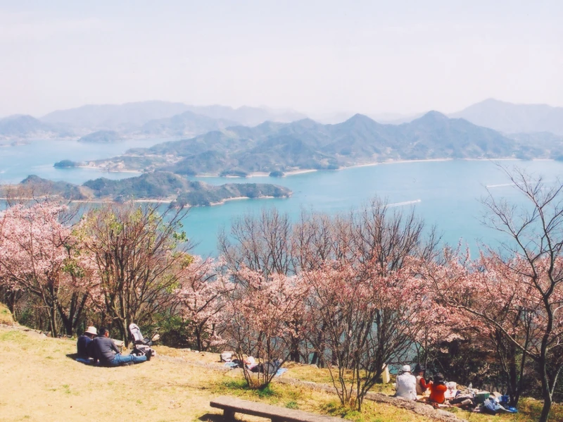 筆影山上種植2,000棵染井吉野櫻,是當地市民春天賞花野餐的好去處。 筆影山上種植2,000棵染井吉野櫻,是當地市民春天賞花野餐的好去處。