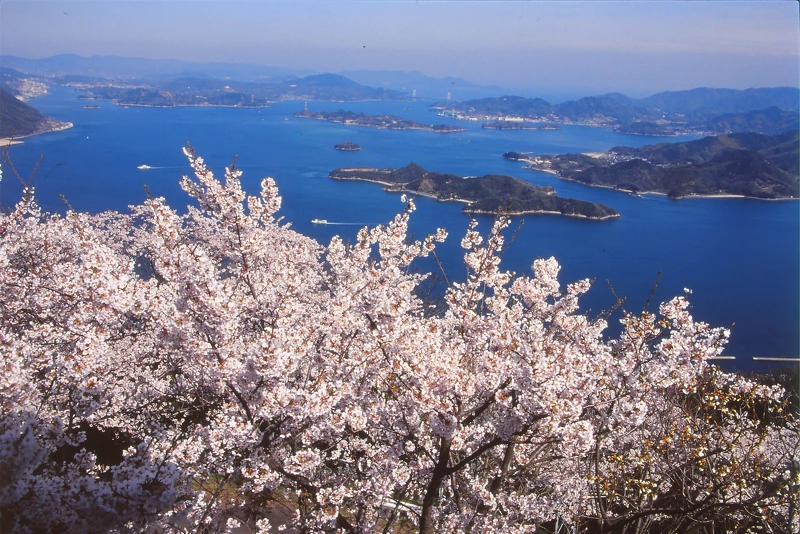 龍王山不只是賞櫻名勝,更是眺望瀨戶內海最好的展望台,放晴時還能看到四國地區的山巒。 龍王山不只是賞櫻名勝,更是眺望瀨戶內海最好的展望台,放晴時還能看到四國地區的山巒。