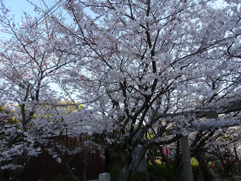 御手洗天滿宮 御手洗天滿宮