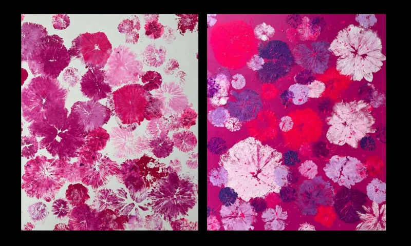 《繁花若夢》（White and pink）2024，複合媒材，一幅100x120cm。