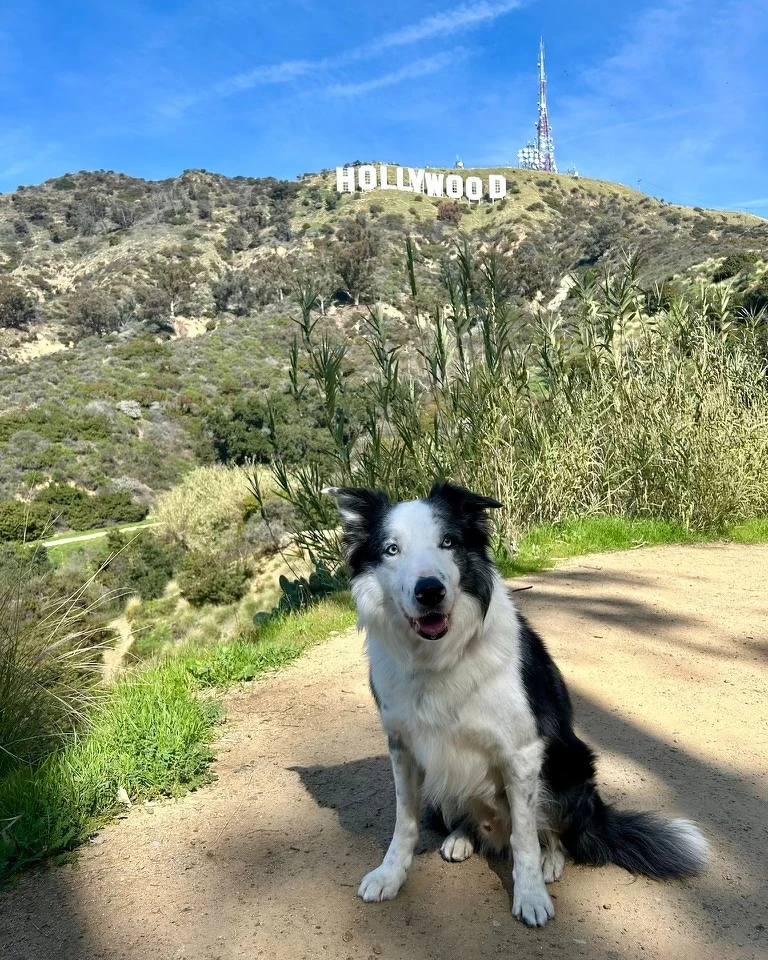 Messi抵達洛杉磯參加頒獎典禮