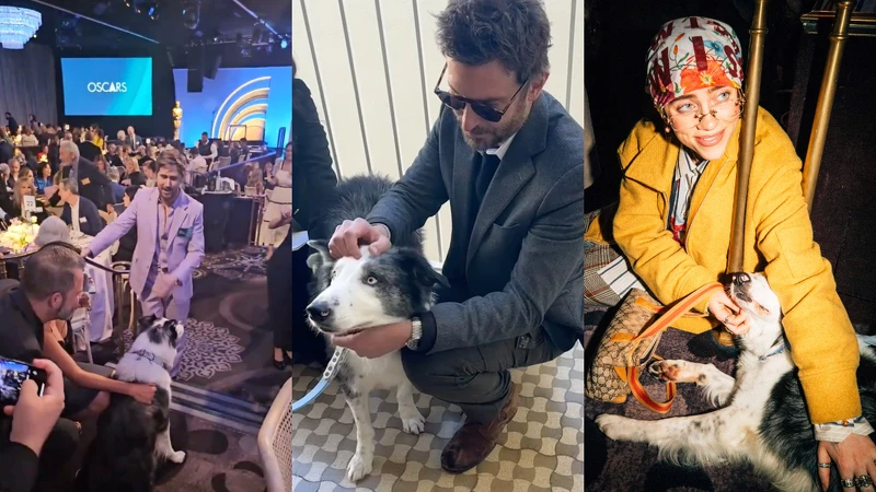 Messi與萊恩葛斯林、布萊德利庫柏與怪奇比莉互動