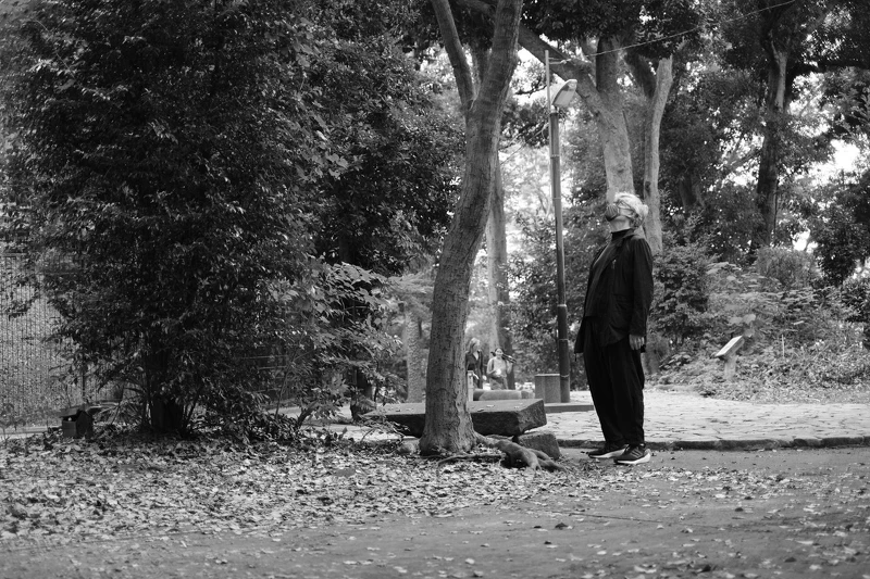 《我的完美日常》導演文溫德斯著迷於「木漏れ日」的優美意境