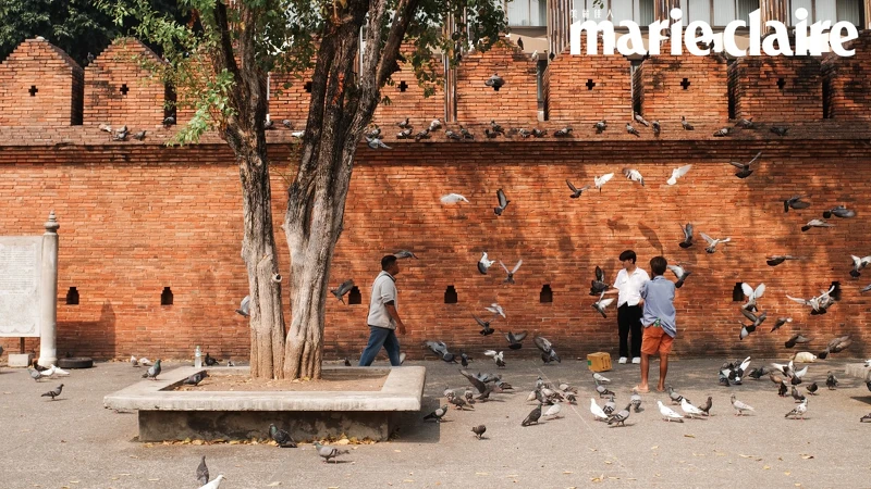 清邁古城塔佩門