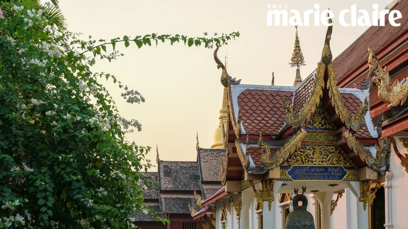 「文化與建築之旅」