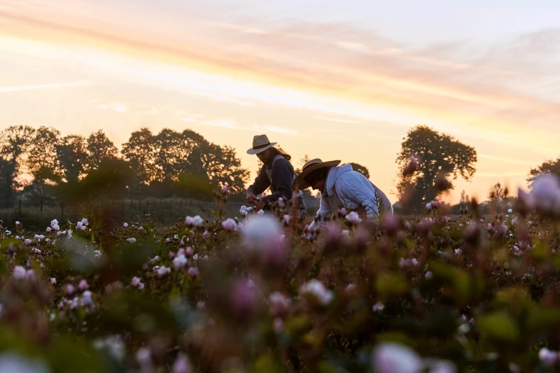 Dior迪奧岡維拉伊甸花園。