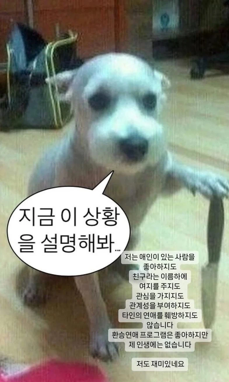 韓韶禧發文帶圖為拿著刀的小狗