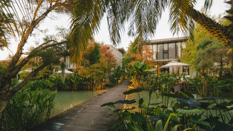 踏進園區一刻就彷彿來到另一個雨林空間,創造出非日常的體驗。 踏進園區一刻就彷彿來到另一個雨林空間,創造出非日常的體驗。