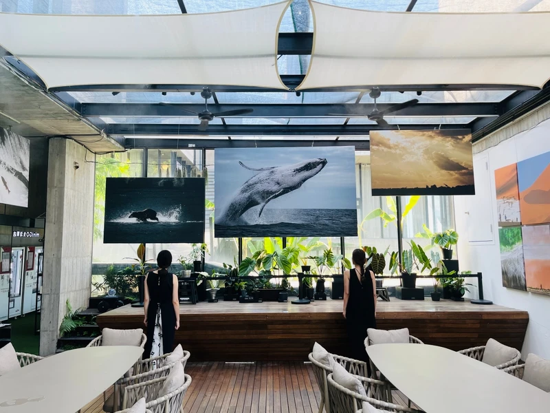 過去曾經展出攝影師「馬賽 Kyo」的作品。 過去曾經展出攝影師「馬賽 Kyo」的作品。