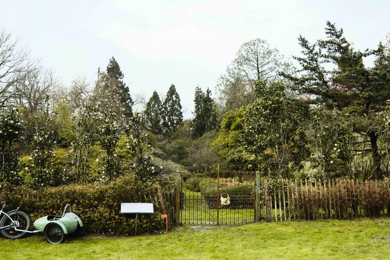 期待中的花園大門即將打開 期待中的花園大門即將打開