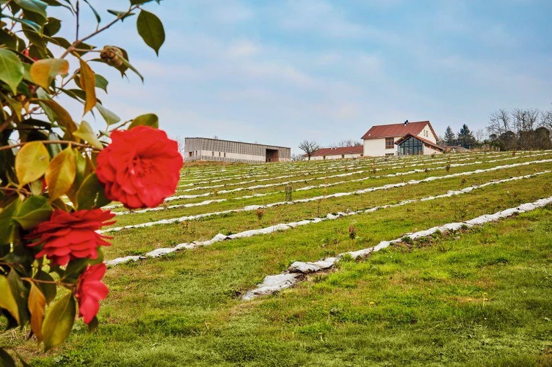 植物能反映出人類照料它們的方式,以及對土壤各種組成(例如微生物、動植物)協作的尊重。 植物能反映出人類照料它們的方式,以及對土壤各種組成(例如微生物、動植物)協作的尊重。