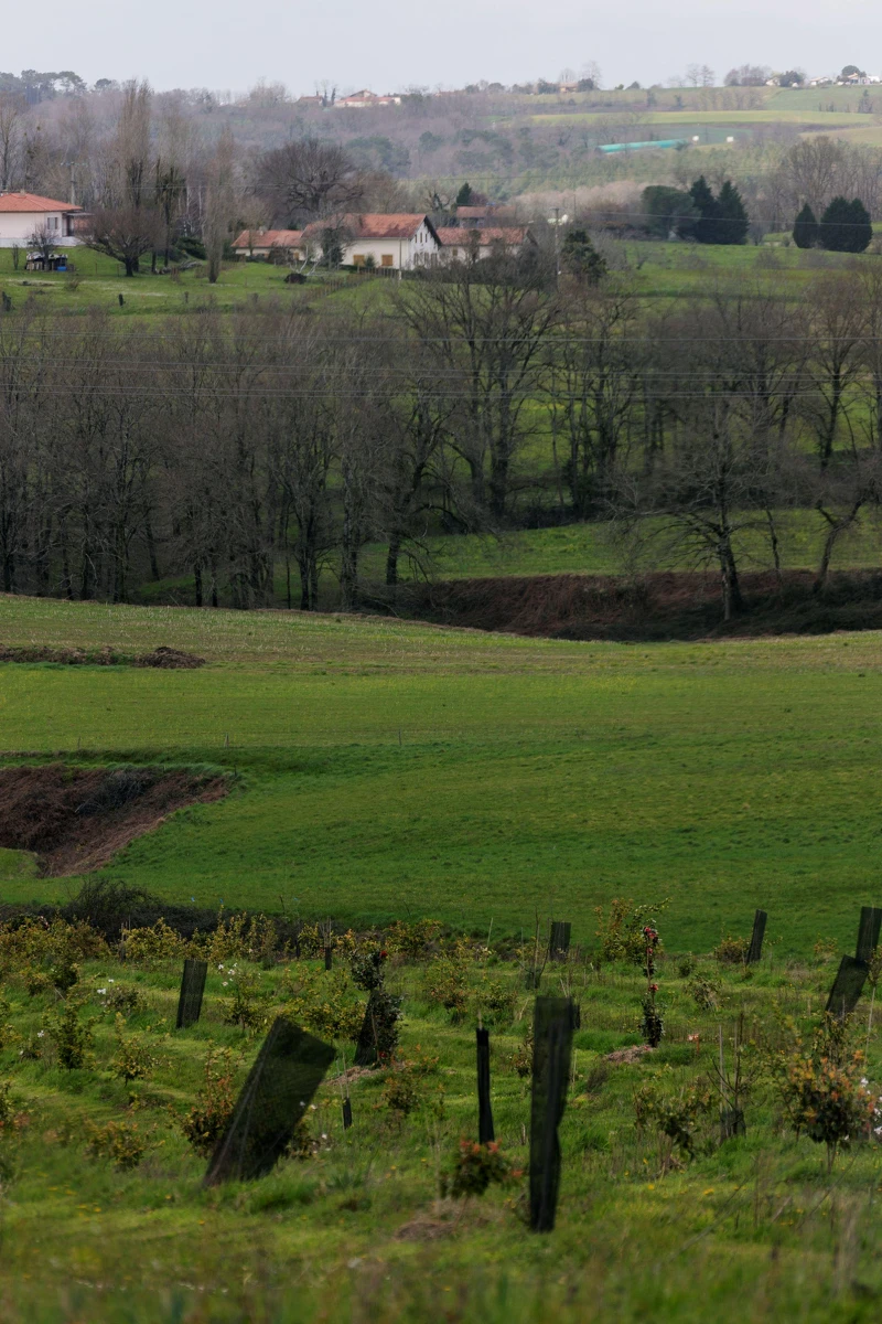 農林混作系統—為農作物與林木同時並存,林木可以提供家畜、植物遮蔭與庇護,而家畜可以抑制雜草的生長。 農林混作系統—為農作物與林木同時並存,林木可以提供家畜、植物遮蔭與庇護,而家畜可以抑制雜草的生長。