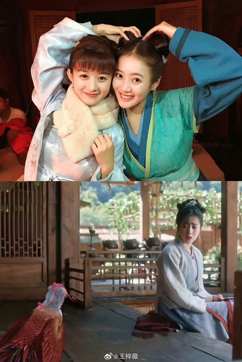 趙麗穎與「小桃」在《知否》形影不離（上圖），兩人在《與鳳行》沒對手戲，王梓薇只與和趙麗穎的鳳凰真身同框（下圖）。