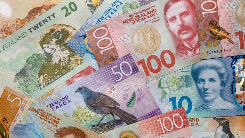 紐西蘭貨幣「紐西蘭元 NZD」 紐西蘭貨幣「紐西蘭元 NZD」