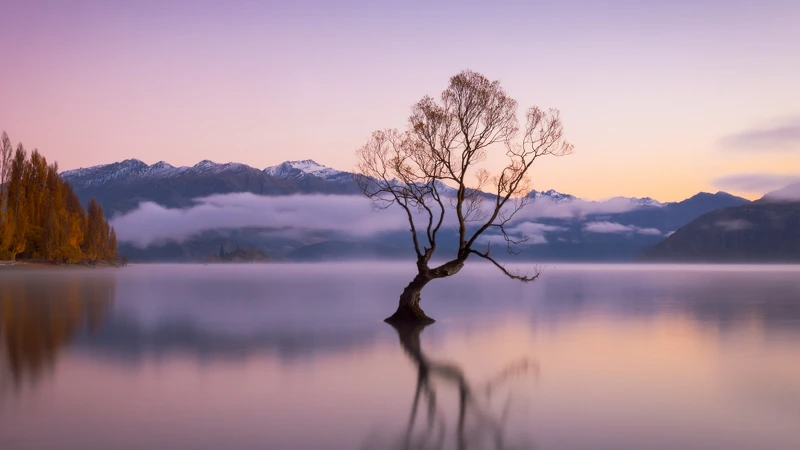 瓦納卡湖Lake Wanaka 瓦納卡湖Lake Wanaka