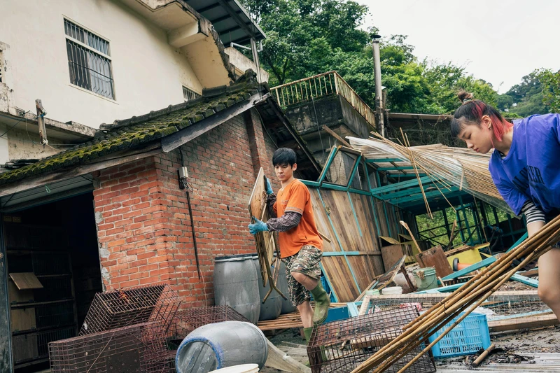 《莎莉》林柏宏透露拍攝颱風肆虐雞舍一幕時很心疼動物雞