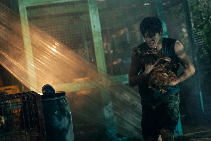 林柏宏拍《莎莉》超入戲 「雞演員」離世真情流露