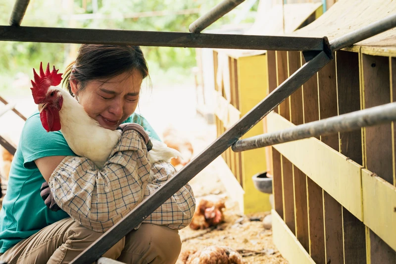 劉品言坦言《莎莉》中一幕颱風肆虐雞舍的場景讓她相當不捨