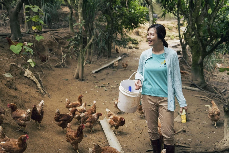 主題曲〈莎莉 Salli〉敘述由劉品言飾演的女主角，從樸實的農村生活遠赴法國的浪漫追愛故