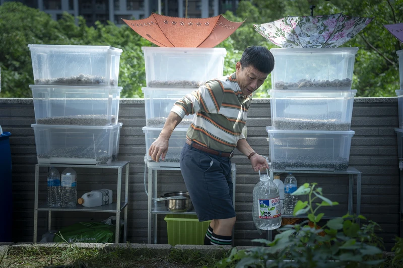 《省省吧！我家富貴發》郭子乾為買房節儉度日。