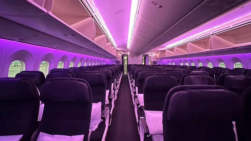 紐西蘭航空空間以紫色調營造氛圍